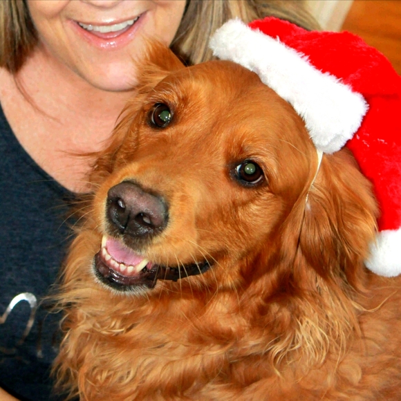 Meet your Posher, Cindy - Picture 2 of 2